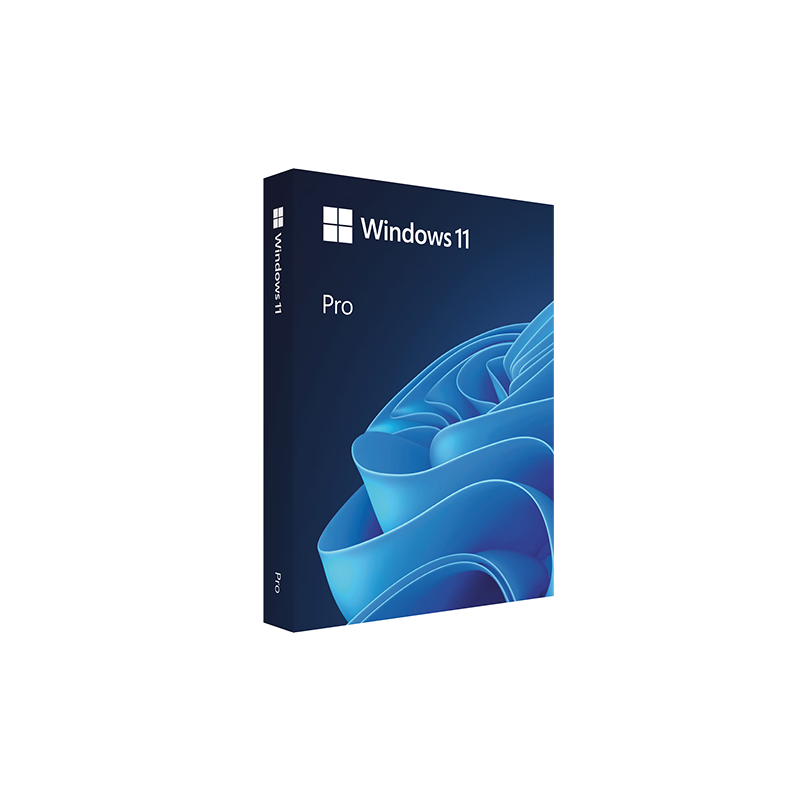 Windows 11 Pro incl. trainingen.