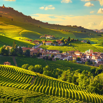 Wijntour door Italië incl. diners, proeverijen & meer!