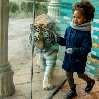 Dierenpark Amersfoort