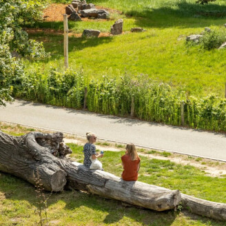 3 dagen Zuid-Limburg incl. ontbijt, 2x diner & lunch!