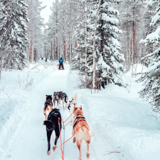 9-daagse wintervakantie Finland incl. verblijf in een bungalow met privé sauna, Finnlines-overtocht & 4 excursies