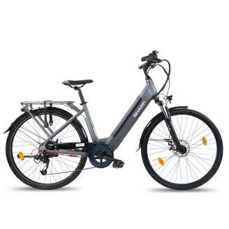 Sharp elektrische stadsfiets donkergrijs vrijstaand op lichte achtergrond zijaanzicht.