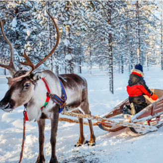 Volledig verzorgde vliegreis naar Finland: incl. vlucht, excursies & meer!