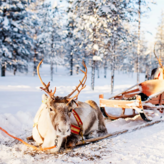 8-dagen compleet verzorgd naar Fins Lapland incl. excursies!
