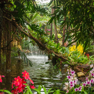 Pantropica: Beleef het ultieme vakantiegevoel!