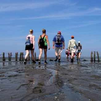 Uitwaaien bij de Waddenzee in het Groningse Pieterburen en overnacht op splinternieuwe LUXE Swiss Sense bedden