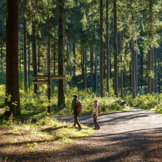 4-daagse vakantie naar Sauerland nabij Winterberg! Hotel met ZWEMBAD incl. ontbijt