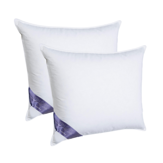 2-Pack Ten Cate Hoofdkussens