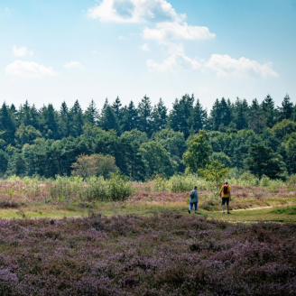 4 dagen op de Veluwe incl. ontbijt, bitterballen & meer!